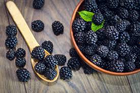 Wild Blackberry (Limited Time scent)